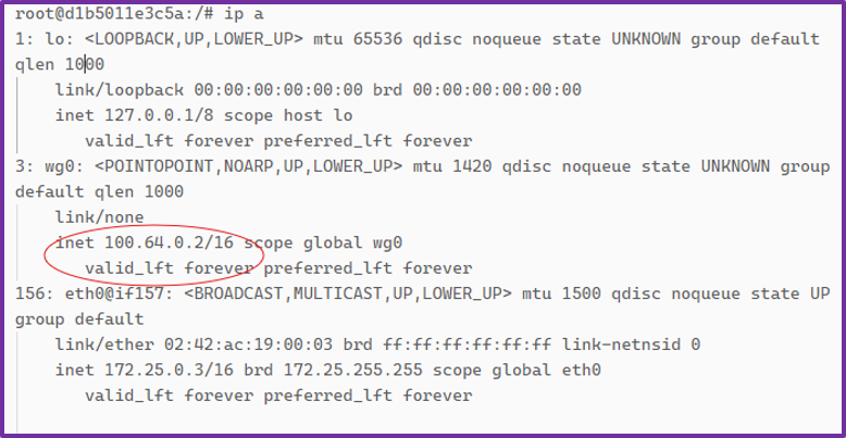 operator connect to wireguard listener
